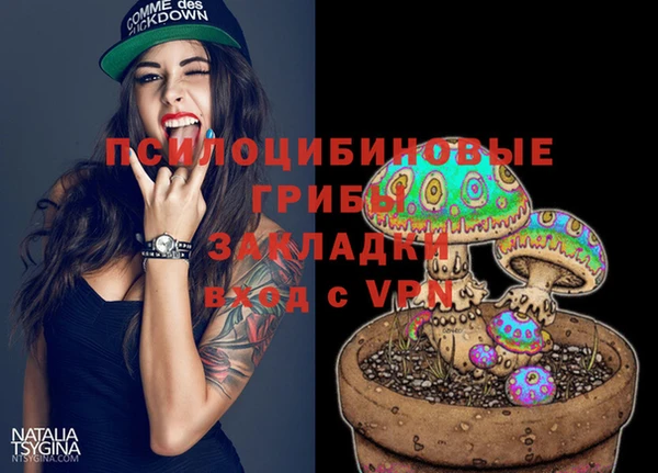 гашик Алзамай
