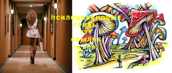 гашик Алзамай