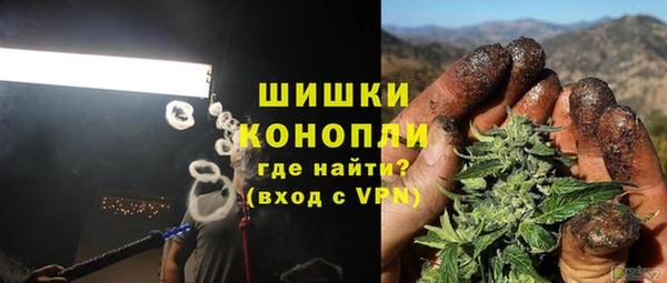 гашик Алзамай