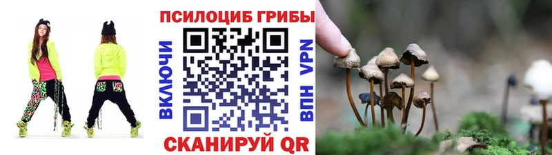 MEGA tor  Сунжа  Галлюциногенные грибы GOLDEN TEACHER 
