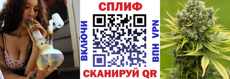 купить закладку  Сунжа  Марихуана сатива 